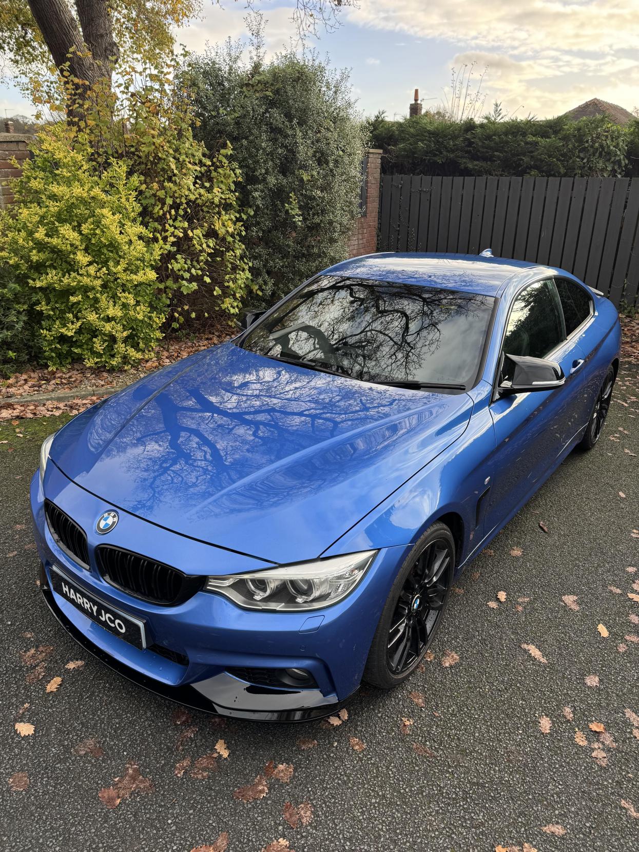 BMW 4 Series 2.0 420d M Sport Coupe 2dr Diesel Auto Euro 6 (s/s) (184 ps)