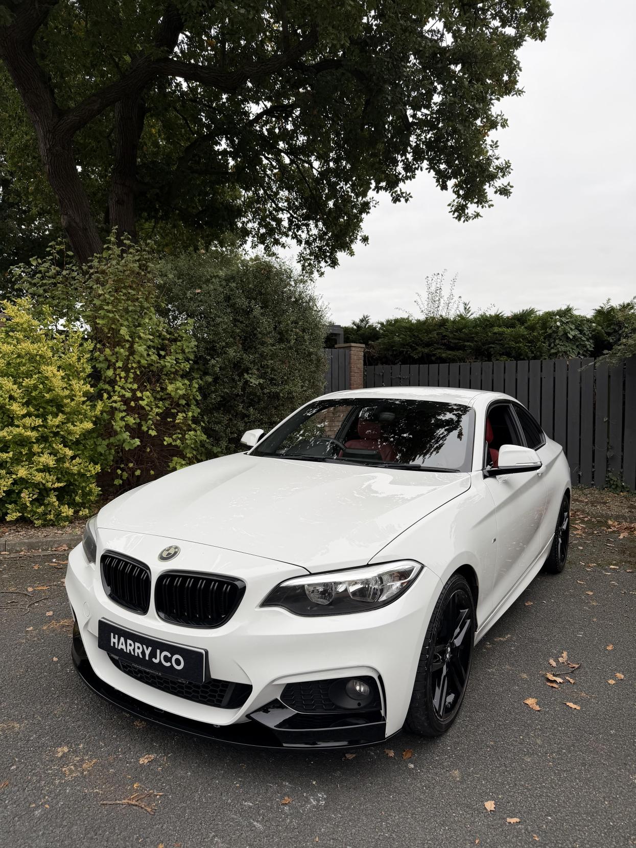 BMW 2 Series 2.0 218d M Sport Coupe 2dr Diesel Manual Euro 6 (s/s) (143 ps)