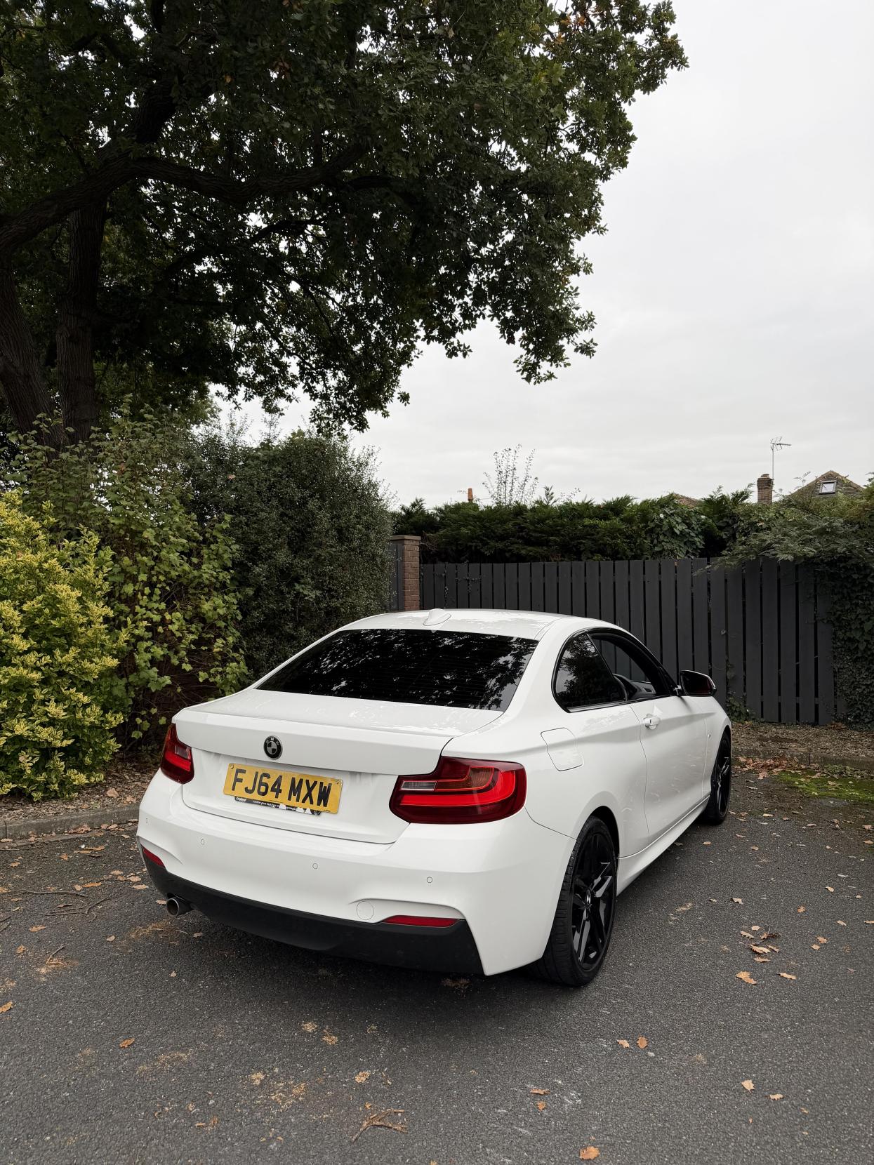 BMW 2 Series 2.0 218d M Sport Coupe 2dr Diesel Manual Euro 6 (s/s) (143 ps)