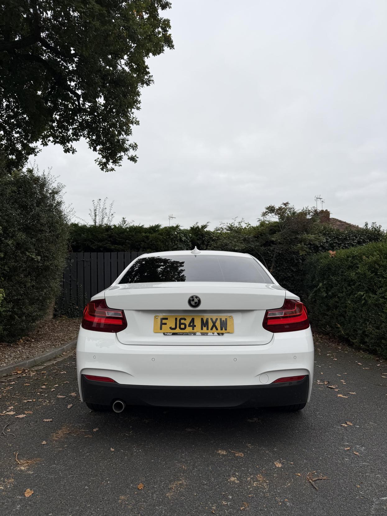 BMW 2 Series 2.0 218d M Sport Coupe 2dr Diesel Manual Euro 6 (s/s) (143 ps)